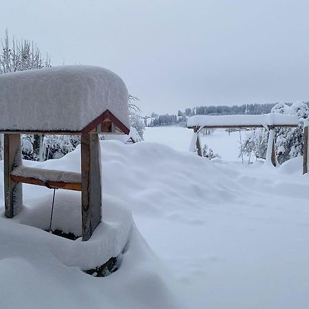 Trollenhof Im Allgaeu - Ferienwohnungen Saeuling Ruckholz Eksteriør billede