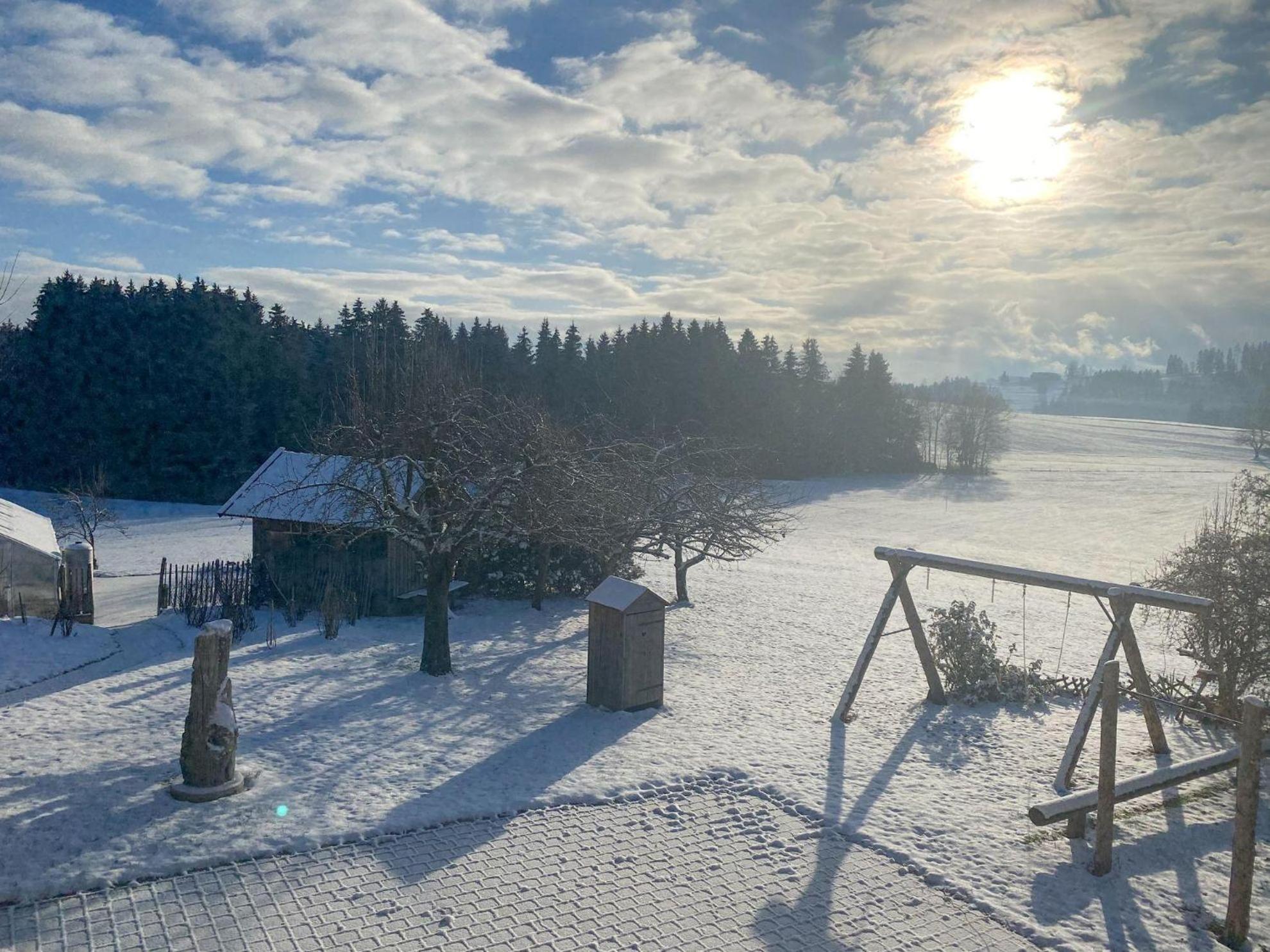 Trollenhof Im Allgaeu - Ferienwohnungen Saeuling Ruckholz Eksteriør billede